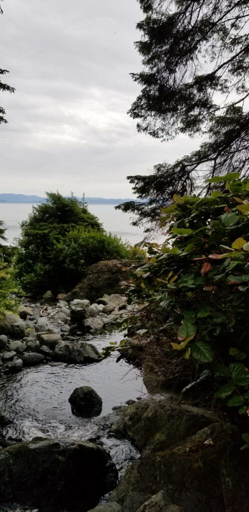 View of the ocean from the creek at Mystic Beach