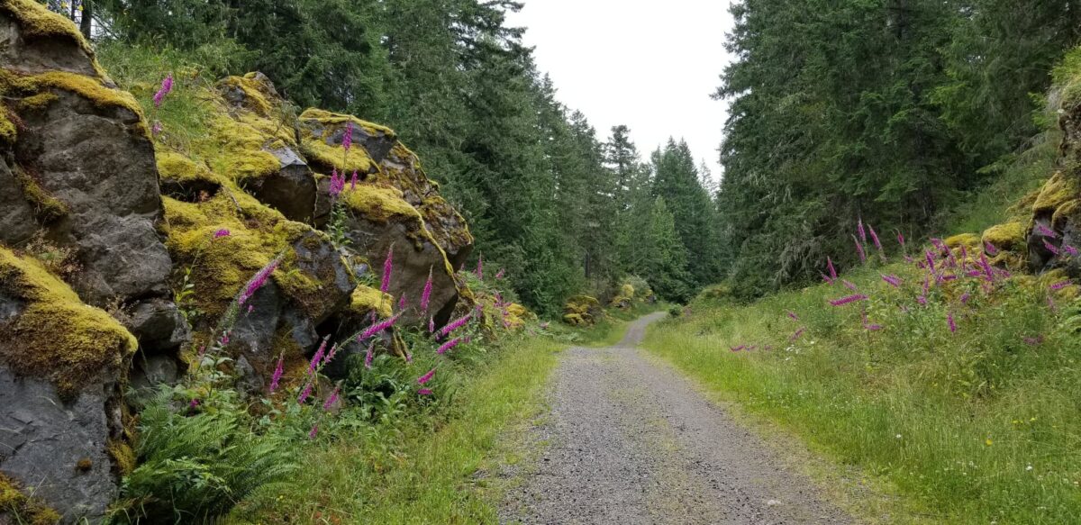 CYCLING THE COWICHAN VALLEY TRAIL