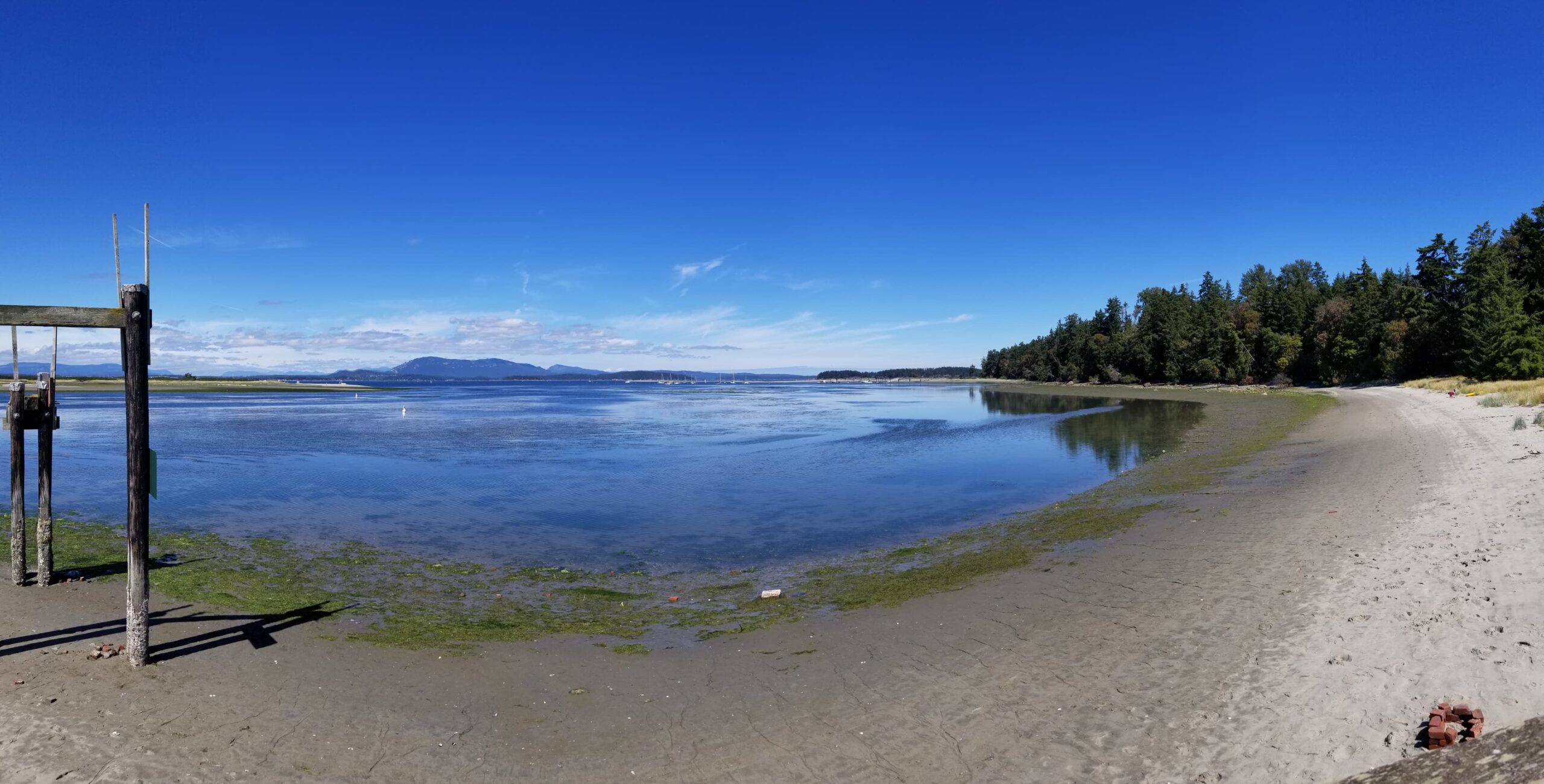 THE UNEXPECTED ROMANCE OF A SIDNEY ISLAND DAY TRIP!