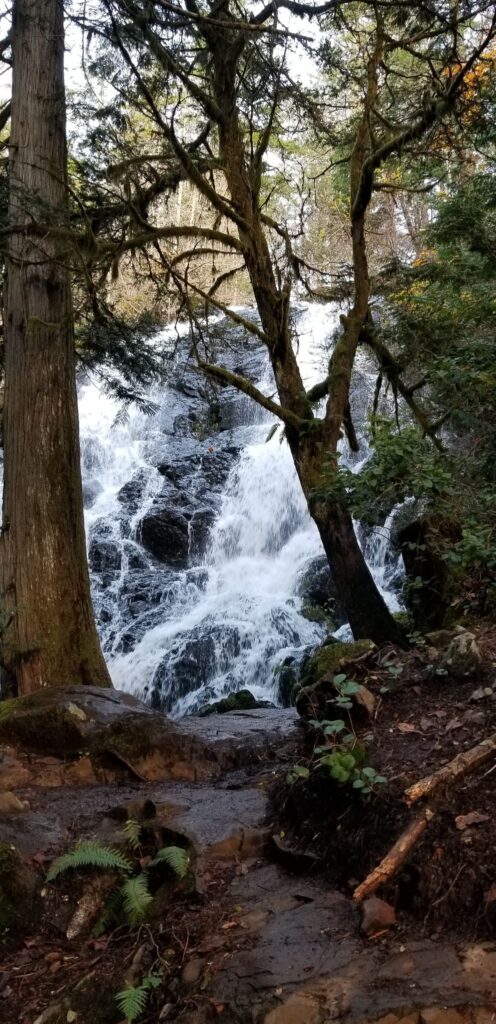 Mary Vine Creek Waterfall