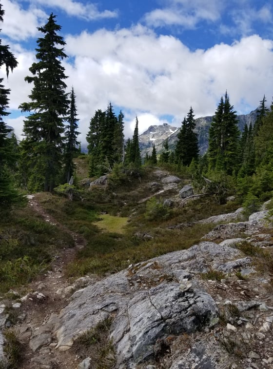 Trail to love lake through Alpine meadow